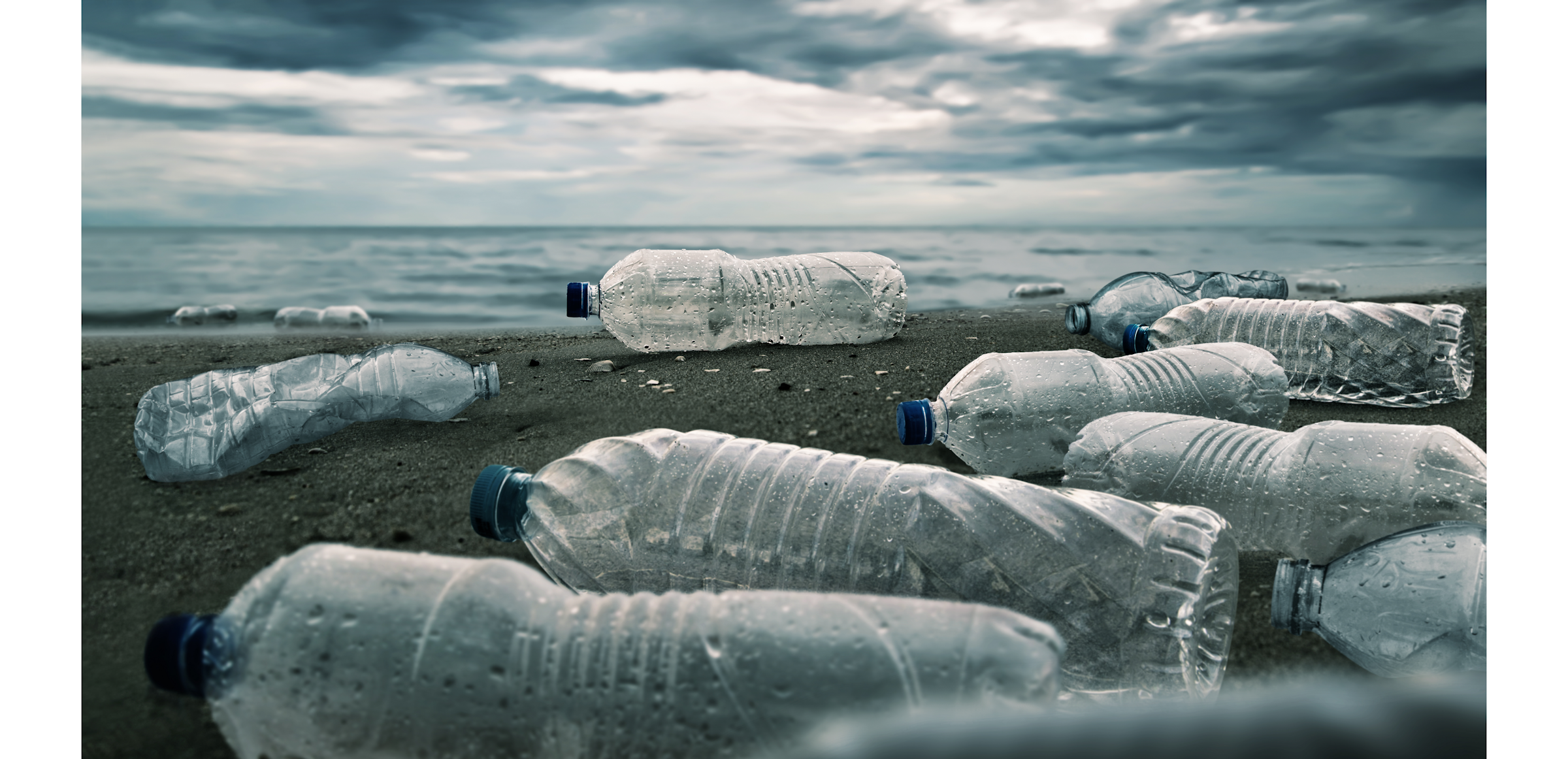 Plastic water bottles on a beach
