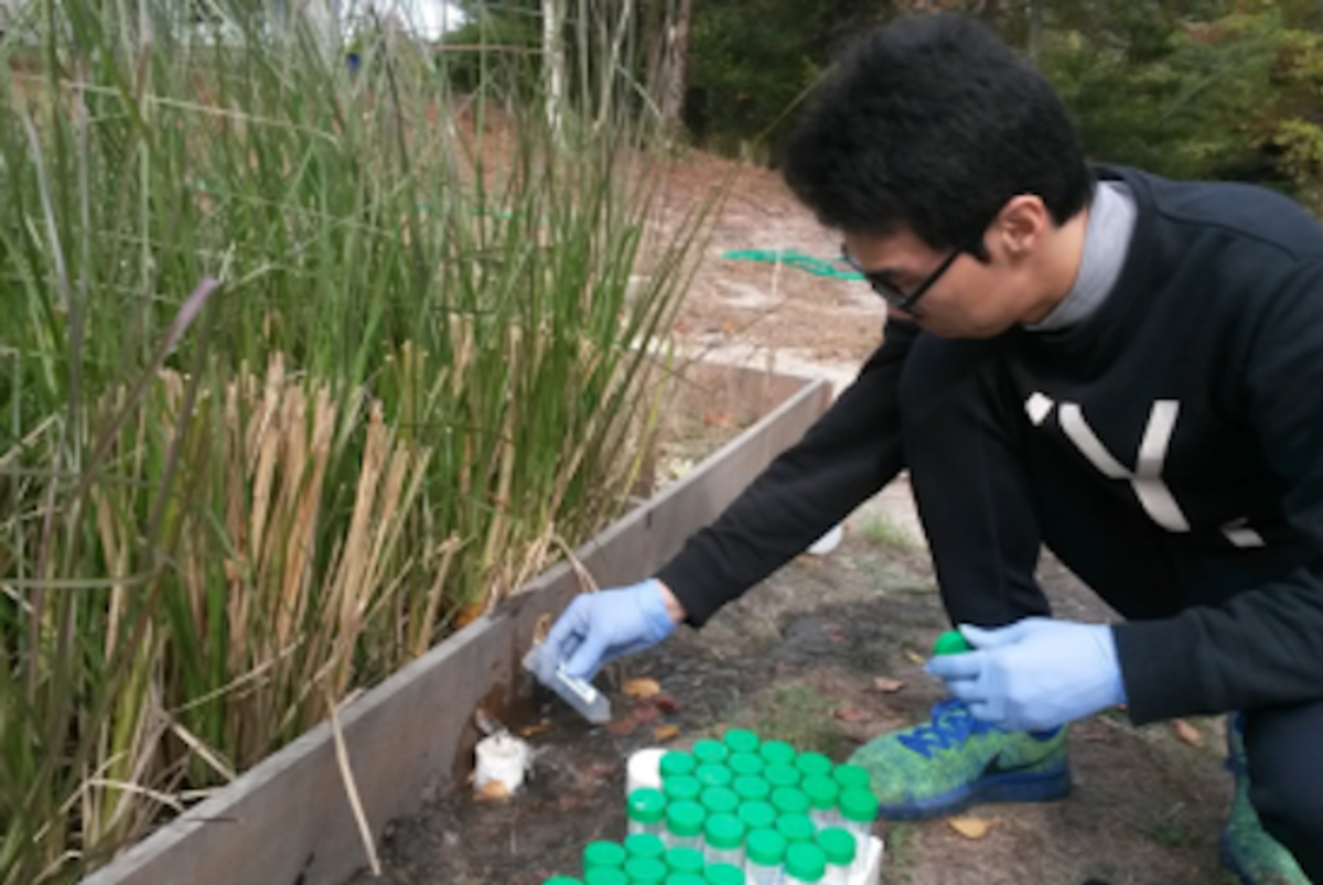 environmental research student testing soil