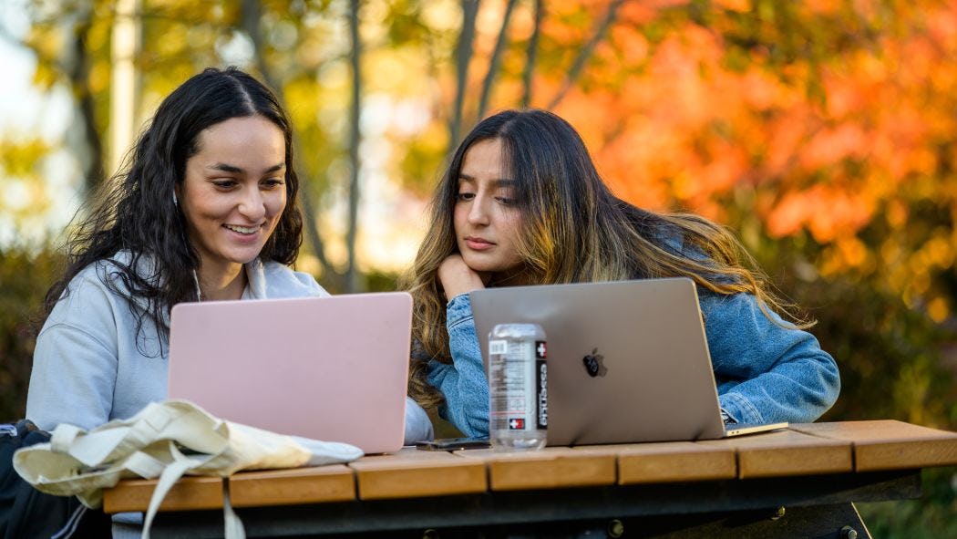 Students view their laptops outdoors.
