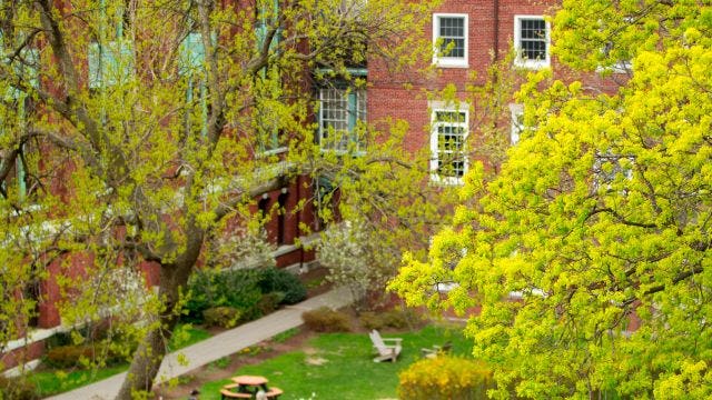 Photo of the Morton Peirce Kidde Complex during the springtime as trees bloom
