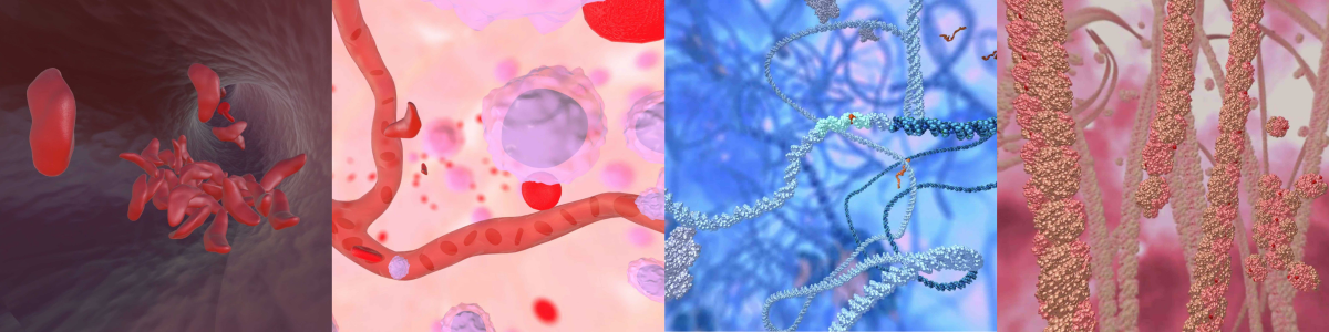Images from CRISPR-VR © 2023 Innovative Genomics Institute