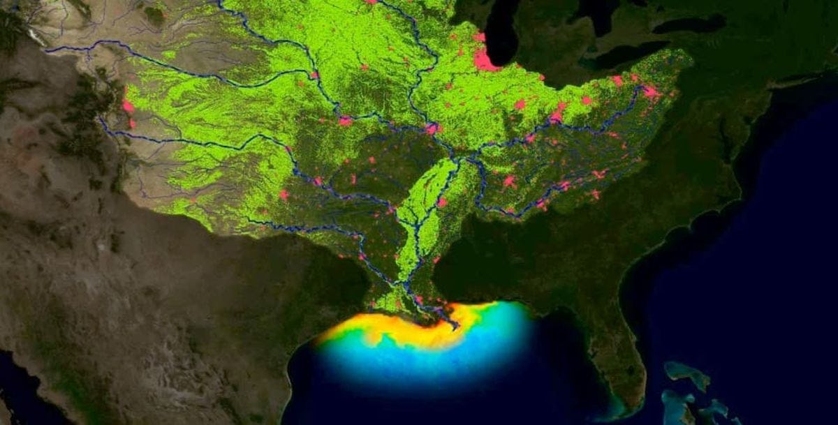 image of Gulf of Mexico dead zone and rivers flowing into it