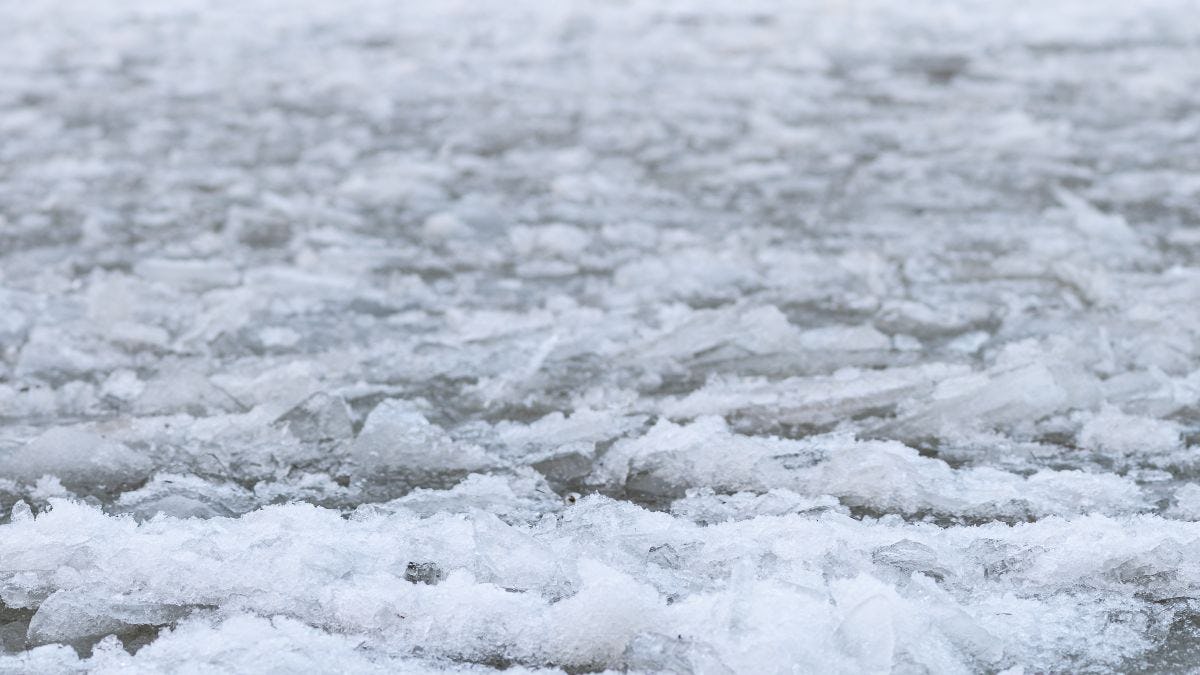 Ice pieces on the water, close up