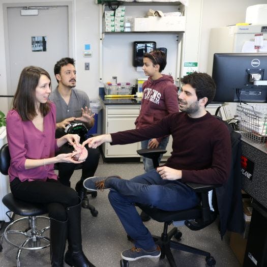 Students in the Kurt lab