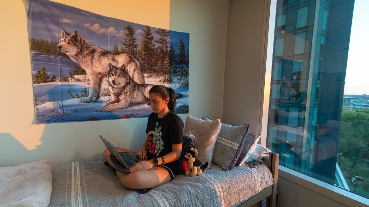 Student sits on her bed looking at her laptop with large wolf tapestry behind her.