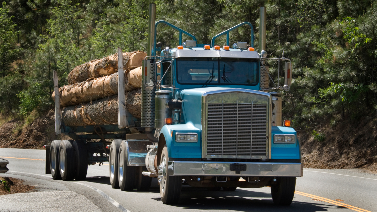 Blue logging truck transports timber