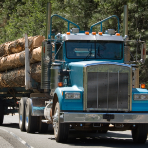 Blue logging truck transports timber