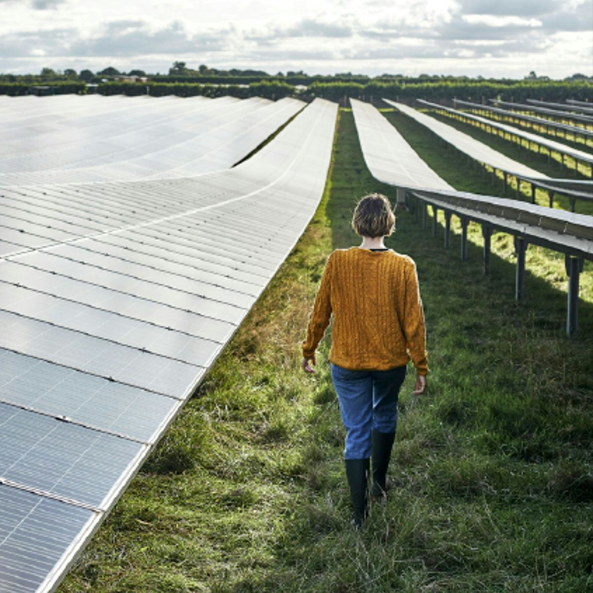 person walking in a field with solar panels