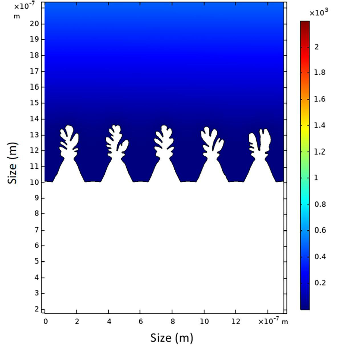 A simulation result showing Li dendrite formation on an anode surface
