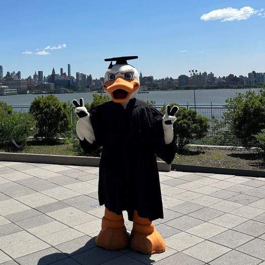 Attila dressed in commencement regalia posing on the Babbio Patio with the Midtown Manhattan skyline in the background.
