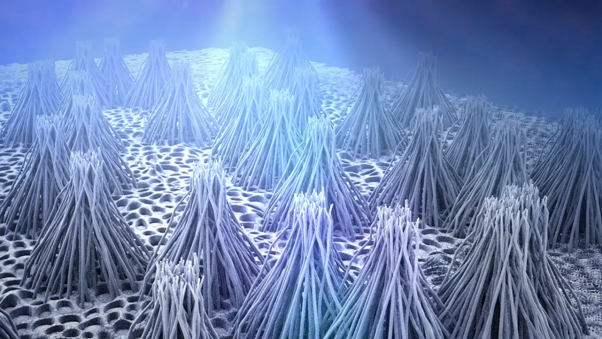 Nanoscale Interfacial Phenomena Image