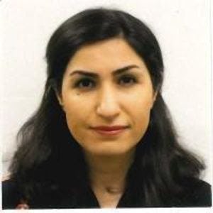 Image of Nafiseh Ghorbani Renani