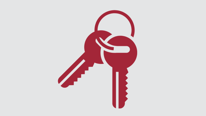 Two animated red keys are centered in a light gray background.