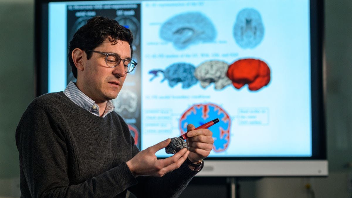 Johannes Weickenmeier standing in front of a screen with images of brains, pointing to an area of a model brain