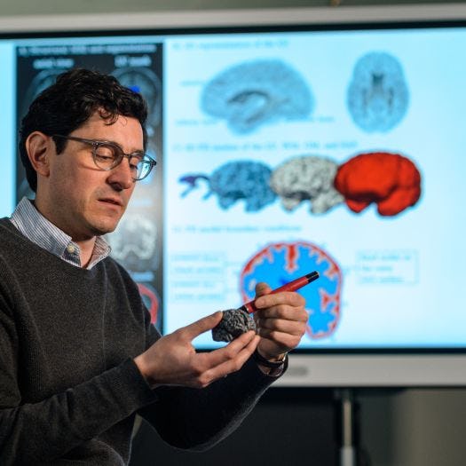 Johannes Weickenmeier standing in front of a screen with images of brains, pointing to an area of a model brain