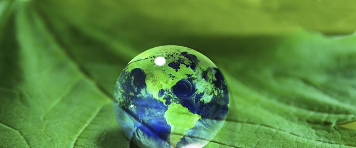 image of green earth sitting on the surface of a leaf.