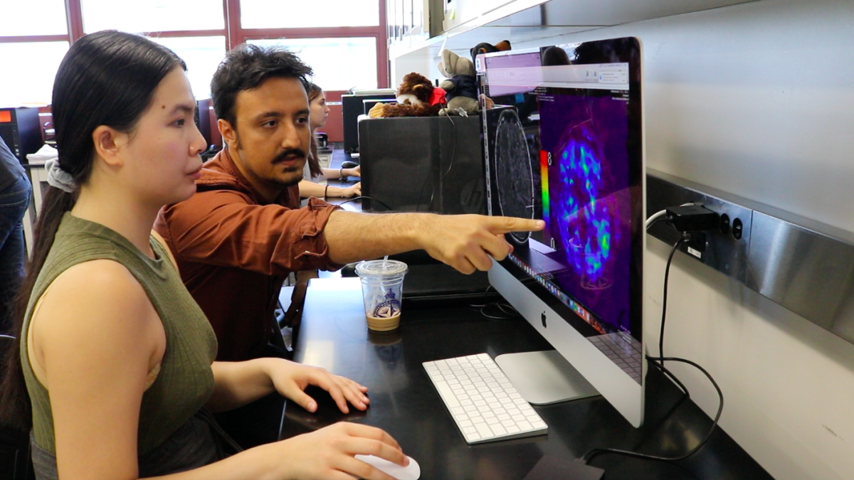 Jing Li, a member of the Class of 2018, and assistant professor Mehmet Kurt review an image of the brain