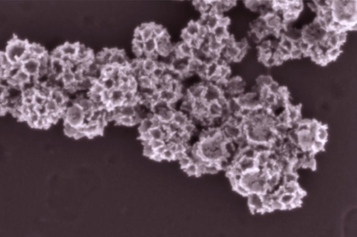 Hyaluronic acid - Gold Nanoframework system to deliver drugs for lymphoma.