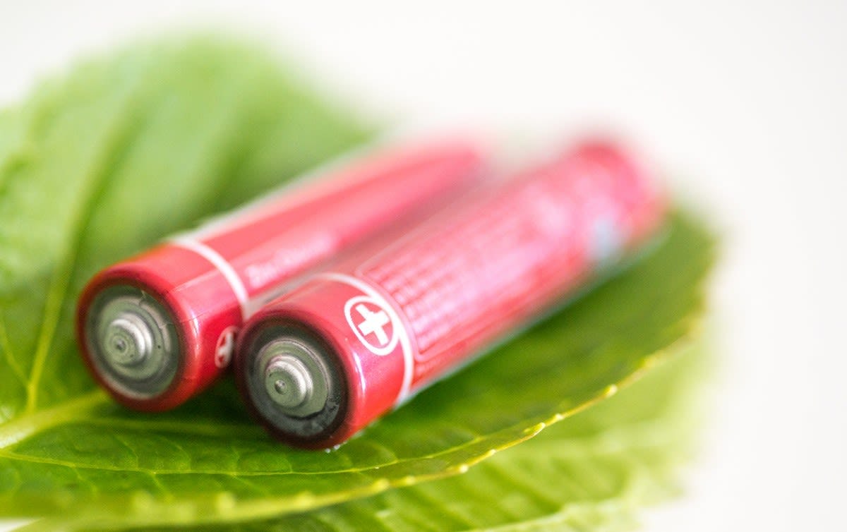 Two double A batteries on a leaf