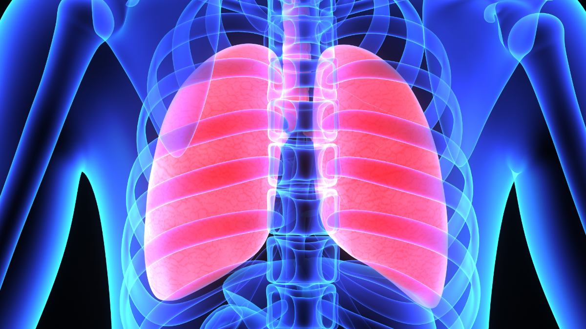 Illustration of pink lungs within blue skeleton within outline of human torso