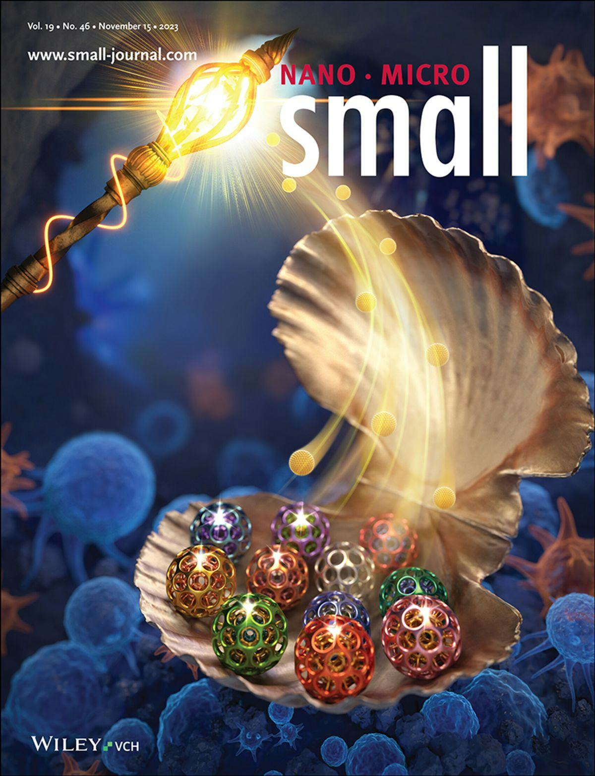 Cover of the journal small, depicting biological molecules in and behind a shimmering clam shell, and a torch in the upper lefthand corner.