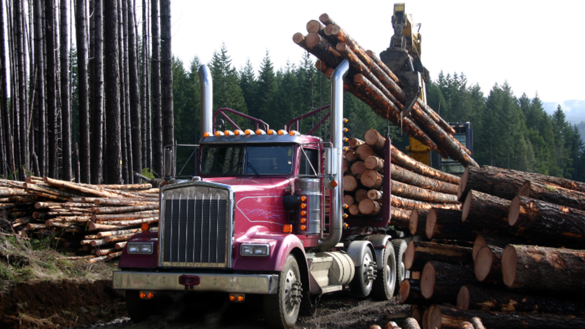 Photo of truck transporting logs