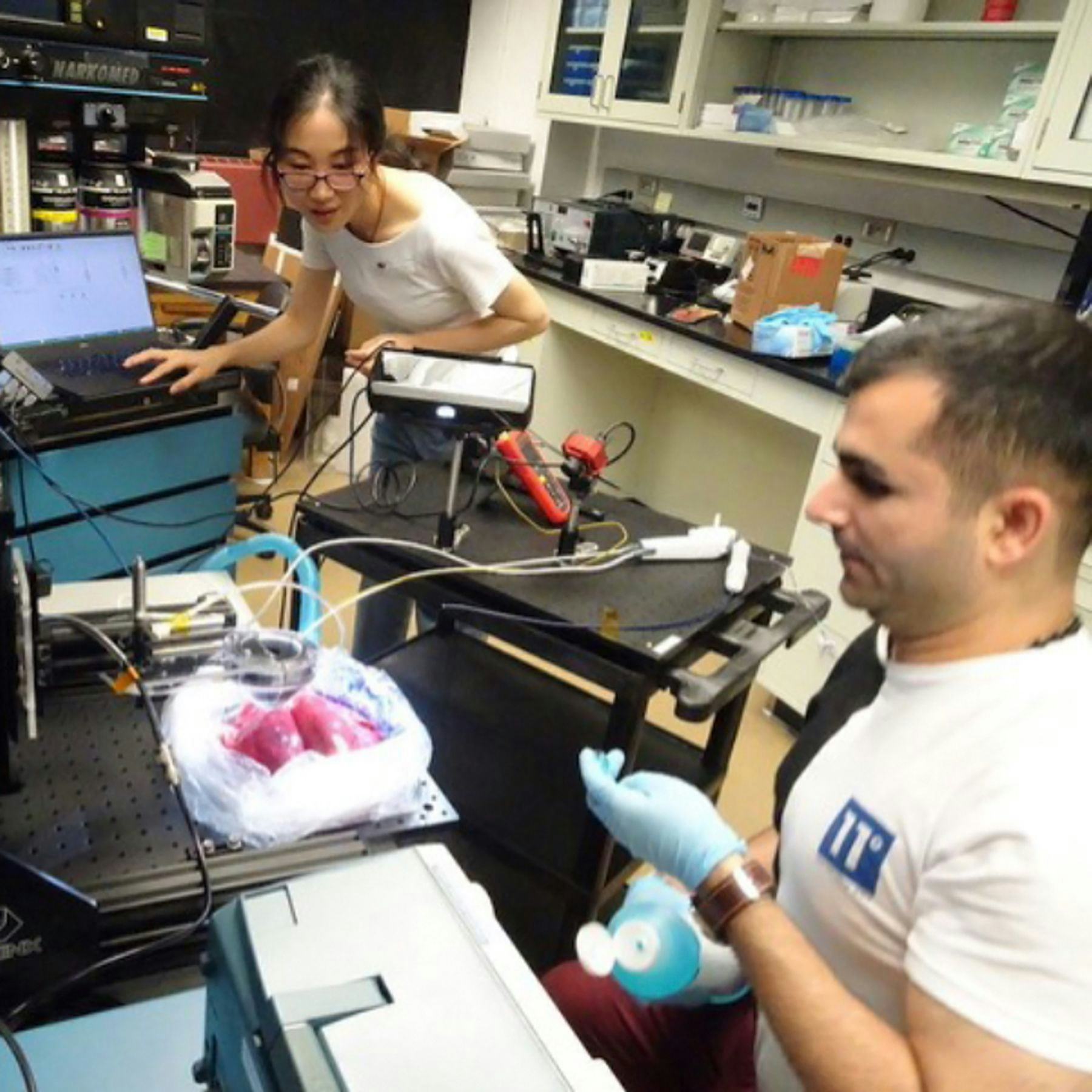 Mohammad and Jiawen working with swine lungs in the lab.