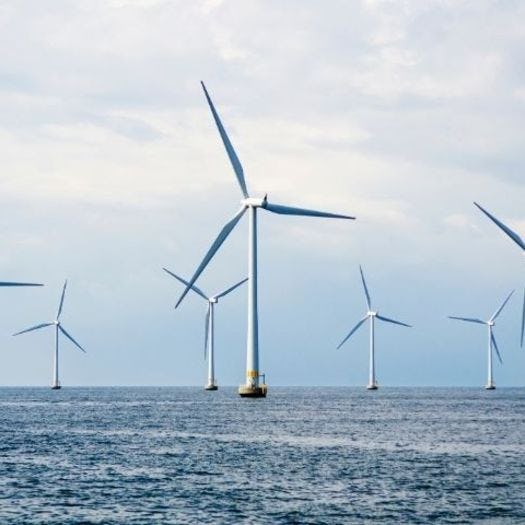 Photo of ocean windfarm