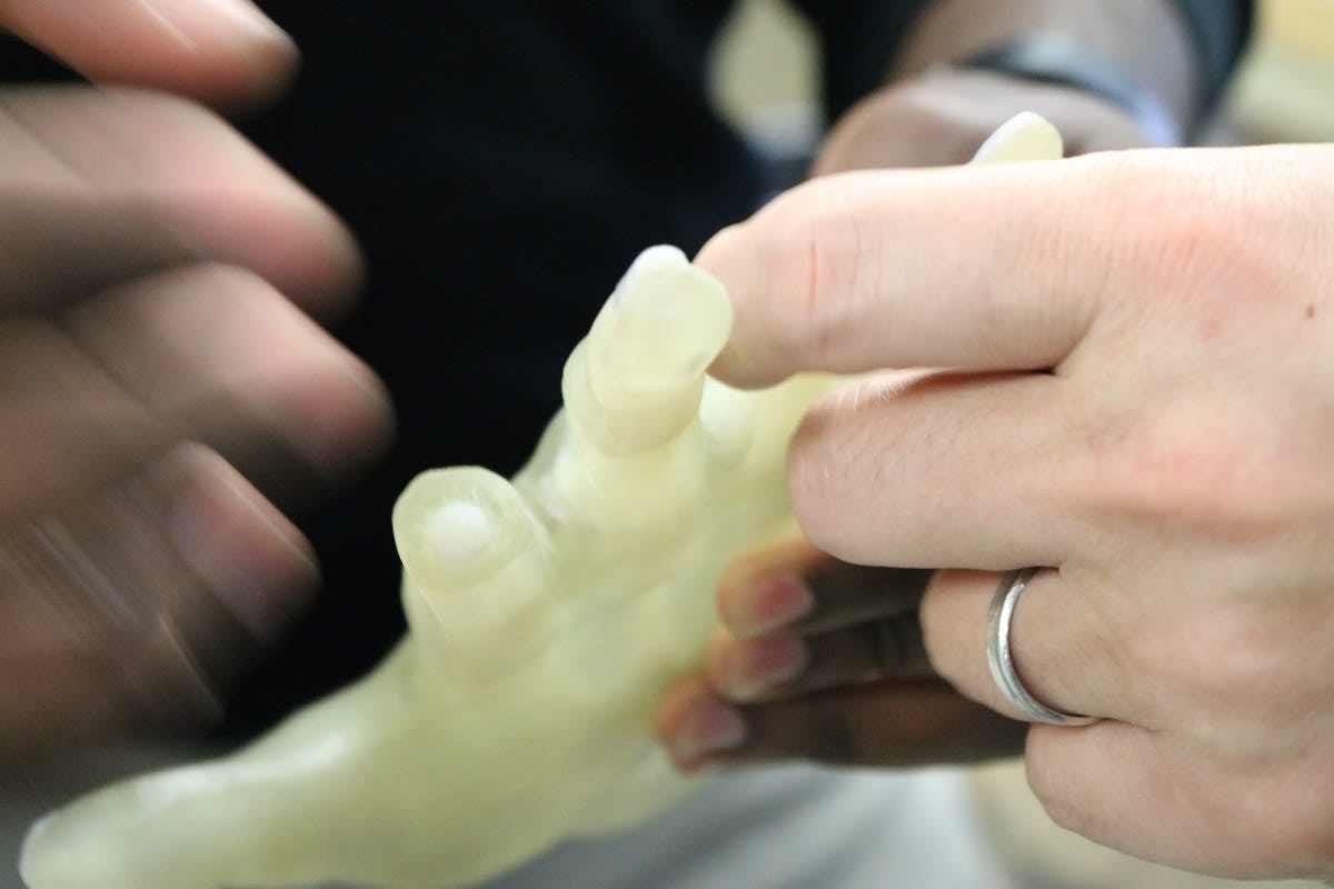 Close up of fingers examining bioprinted skin